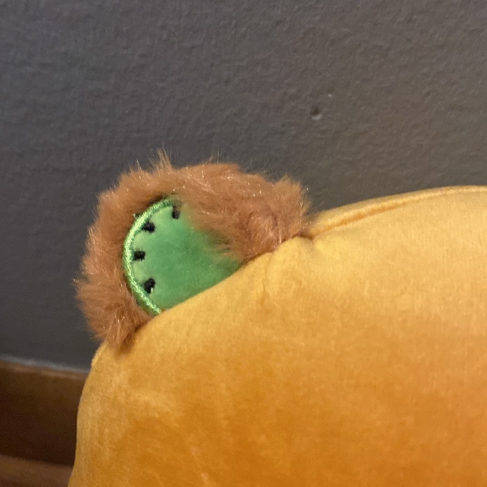 BRAND NEW SQUISHMALLOW NAMED MITCHARD THE KIWI BEAR 8”! NWT. 2023! - Picture 5 of 8